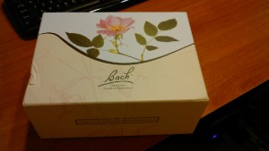 Bach II